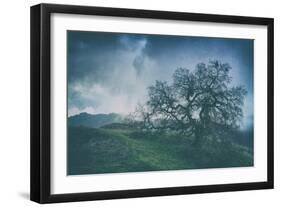 Moody Tree Landscape, Mount Diablo-Vincent James-Framed Photographic Print