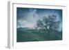 Moody Tree Landscape, Mount Diablo-Vincent James-Framed Photographic Print