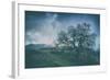 Moody Tree Landscape, Mount Diablo-Vincent James-Framed Photographic Print