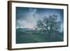 Moody Tree Landscape, Mount Diablo-Vincent James-Framed Photographic Print