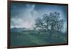 Moody Tree Landscape, Mount Diablo-Vincent James-Framed Photographic Print