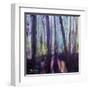 Moody Woods-Robin Maria-Framed Art Print