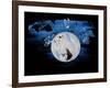 Moon,2017-Alex Caminker-Framed Premium Giclee Print