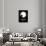 Moon 2-David Brodsky-Mounted Art Print displayed on a wall