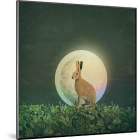 Moon 3-Claire Westwood-Mounted Art Print