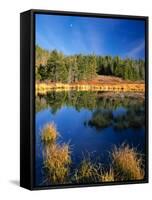 Moon above Beaver Pond, Uinta Mountains, Wasatch National Forest, Utah, USA-Scott T. Smith-Framed Stretched Canvas