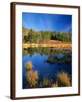 Moon above Beaver Pond, Uinta Mountains, Wasatch National Forest, Utah, USA-Scott T. Smith-Framed Photographic Print