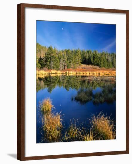 Moon above Beaver Pond, Uinta Mountains, Wasatch National Forest, Utah, USA-Scott T. Smith-Framed Photographic Print