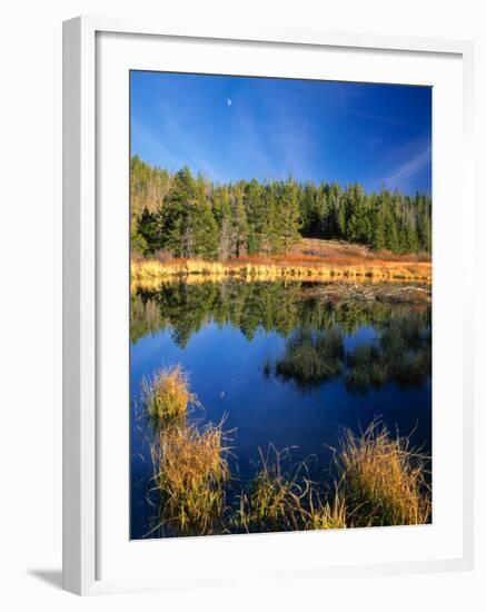 Moon above Beaver Pond, Uinta Mountains, Wasatch National Forest, Utah, USA-Scott T. Smith-Framed Photographic Print