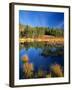Moon above Beaver Pond, Uinta Mountains, Wasatch National Forest, Utah, USA-Scott T. Smith-Framed Photographic Print