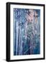 Moon and Bamboo-Margaret Coxall-Framed Giclee Print