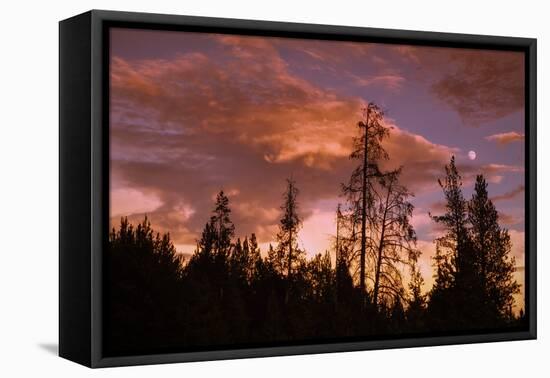 Moon and Cloudscape at Sunset, Yellowstone Wyoming-Vincent James-Framed Stretched Canvas