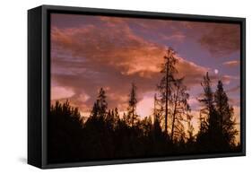 Moon and Cloudscape at Sunset, Yellowstone Wyoming-Vincent James-Framed Stretched Canvas