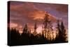 Moon and Cloudscape at Sunset, Yellowstone Wyoming-Vincent James-Stretched Canvas