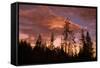 Moon and Cloudscape at Sunset, Yellowstone Wyoming-Vincent James-Framed Stretched Canvas