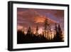 Moon and Cloudscape at Sunset, Yellowstone Wyoming-Vincent James-Framed Photographic Print