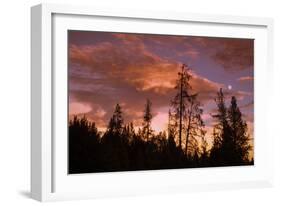 Moon and Cloudscape at Sunset, Yellowstone Wyoming-Vincent James-Framed Photographic Print