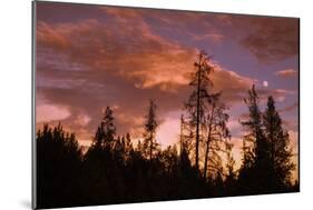 Moon and Cloudscape at Sunset, Yellowstone Wyoming-Vincent James-Mounted Photographic Print
