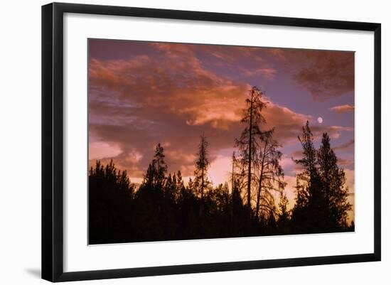 Moon and Cloudscape at Sunset, Yellowstone Wyoming-Vincent James-Framed Photographic Print