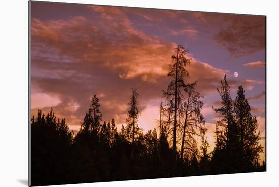 Moon and Cloudscape at Sunset, Yellowstone Wyoming-Vincent James-Mounted Photographic Print