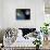 Moon And Earth, Artwork-Walter Myers-Stretched Canvas displayed on a wall