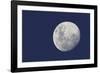 Moon and Jupiter-null-Framed Photographic Print