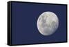 Moon and Jupiter-null-Framed Stretched Canvas