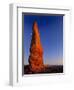 Moon and sandstone spire at Arches National Park-Scott T. Smith-Framed Photographic Print