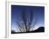 Moon and Venus Conjunction-Stocktrek Images-Framed Photographic Print