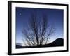 Moon and Venus Conjunction-Stocktrek Images-Framed Photographic Print