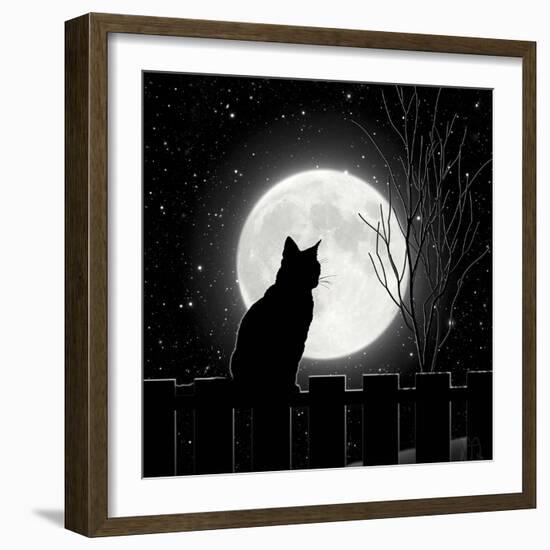 Moon Bath II-Tina Lavoie-Framed Giclee Print