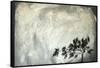 Moon Beam-Megan Aroon Duncanson-Framed Stretched Canvas