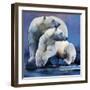 Moon Bears, 2016-Mark Adlington-Framed Giclee Print