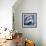 Moon Bears, 2016-Mark Adlington-Framed Giclee Print displayed on a wall