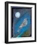 Moon Bird, 2016-Gigi Sudbury-Framed Giclee Print