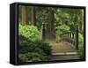 Moon Bridge after the Rain: Portland Japanese Garden, Portland, Oregon, USA-Michel Hersen-Framed Stretched Canvas