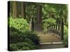 Moon Bridge after the Rain: Portland Japanese Garden, Portland, Oregon, USA-Michel Hersen-Stretched Canvas