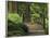 Moon Bridge after the Rain: Portland Japanese Garden, Portland, Oregon, USA-Michel Hersen-Framed Photographic Print