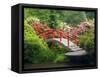 Moon Bridge and Blossoming Rhododendrons, Kubota Garden, Seattle, Washington, USA-Jamie & Judy Wild-Framed Stretched Canvas