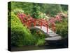 Moon Bridge and Blossoming Rhododendrons, Kubota Garden, Seattle, Washington, USA-Jamie & Judy Wild-Stretched Canvas