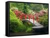 Moon Bridge and Blossoming Rhododendrons, Kubota Garden, Seattle, Washington, USA-Jamie & Judy Wild-Framed Stretched Canvas