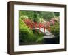 Moon Bridge and Blossoming Rhododendrons, Kubota Garden, Seattle, Washington, USA-Jamie & Judy Wild-Framed Photographic Print