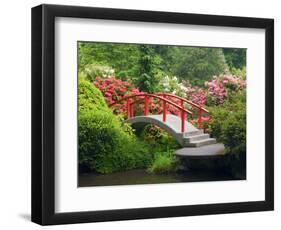 Moon Bridge and Blossoming Rhododendrons, Kubota Garden, Seattle, Washington, USA-Jamie & Judy Wild-Framed Photographic Print