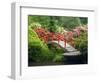 Moon Bridge and Blossoming Rhododendrons, Kubota Garden, Seattle, Washington, USA-Jamie & Judy Wild-Framed Photographic Print