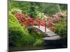 Moon Bridge and Blossoming Rhododendrons, Kubota Garden, Seattle, Washington, USA-Jamie & Judy Wild-Mounted Photographic Print