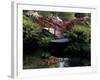 Moon Bridge and Pond in a Japanese Garden, Seattle, Washington, USA-Jamie & Judy Wild-Framed Photographic Print