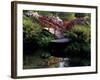 Moon Bridge and Pond in a Japanese Garden, Seattle, Washington, USA-Jamie & Judy Wild-Framed Photographic Print