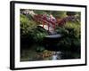 Moon Bridge and Pond in a Japanese Garden, Seattle, Washington, USA-Jamie & Judy Wild-Framed Photographic Print