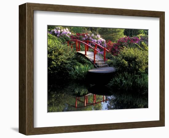 Moon Bridge and Pond in a Japanese Garden, Seattle, Washington, USA-Jamie & Judy Wild-Framed Photographic Print