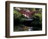 Moon Bridge and Pond in a Japanese Garden, Seattle, Washington, USA-Jamie & Judy Wild-Framed Photographic Print